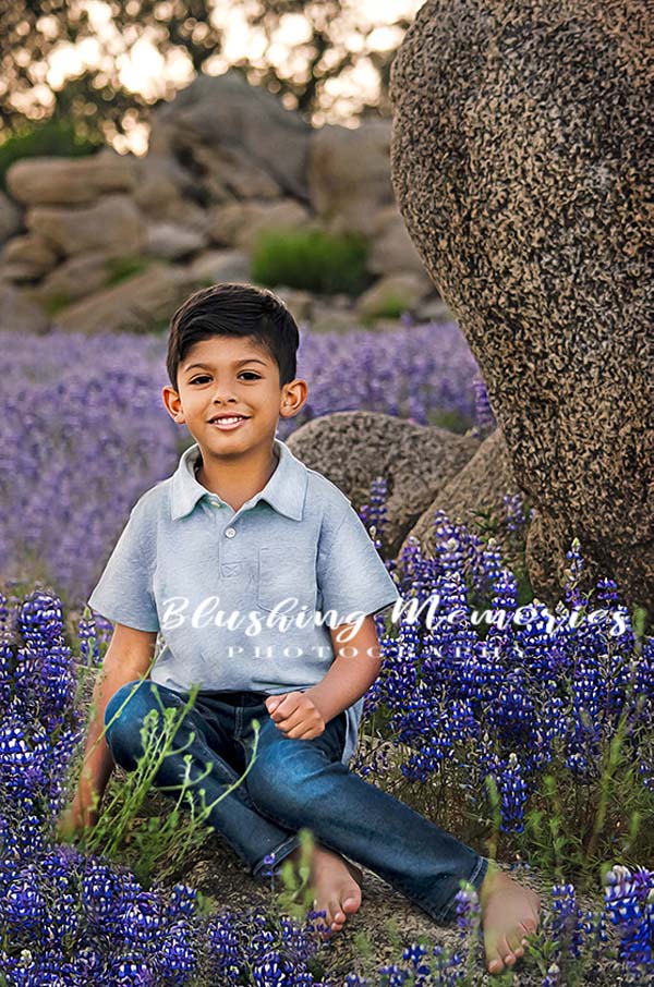 Outdoor Portrait of a boy in the wild Lupines of California