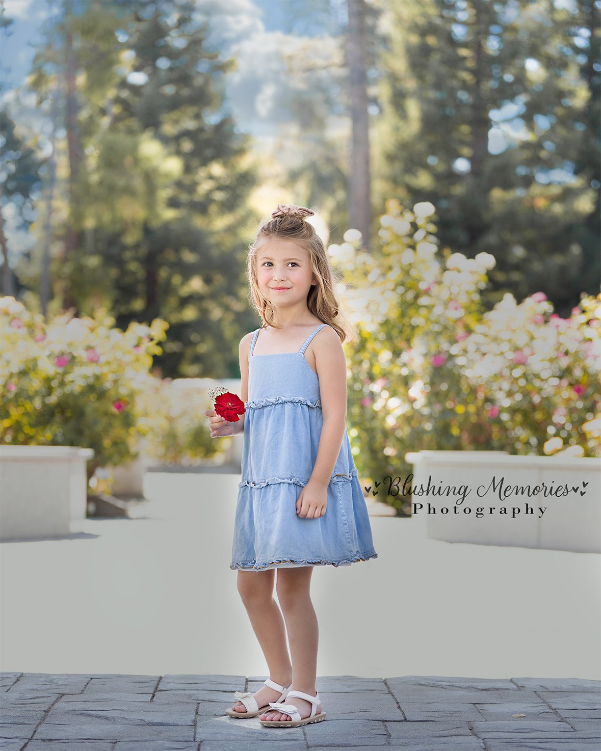 A young girl in a blue denim dress holding a red flower during a professional girl photo session by Blushing Memories studio in Roseville.